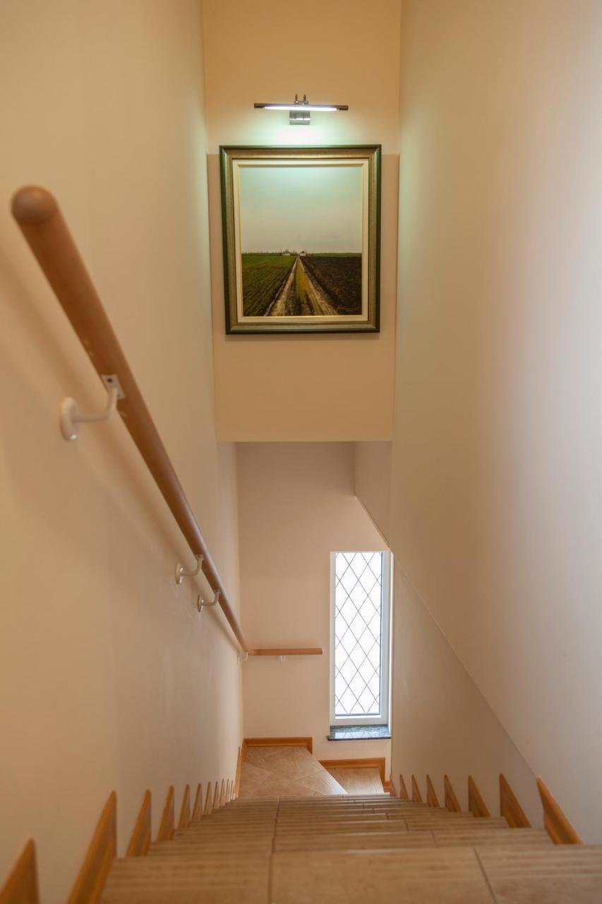 Dc Executive Homes نوفي ساد المظهر الخارجي الصورة